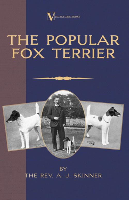 Cover of the book The Popular Fox Terrier (Vintage Dog Books Breed Classic - Smooth Haired + Wire Fox Terrier) by A. J. Skinner, Read Books Ltd.