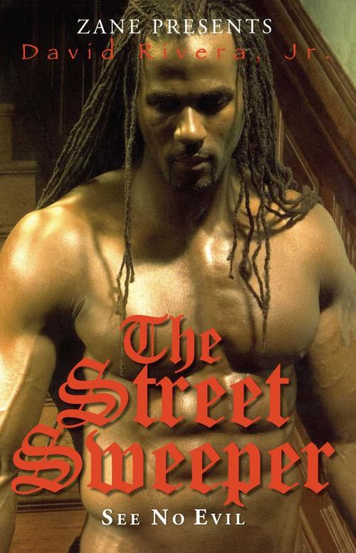 Cover of the book The Street Sweeper by David Rivera Jr., Strebor Books