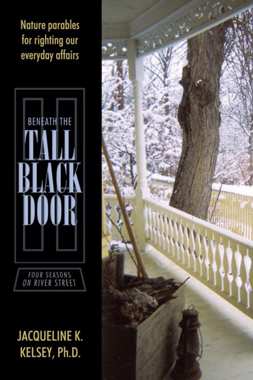 Cover of the book Beneath the Tall Black Door by Jacqueline K. Kelsey Ph.D., AuthorHouse