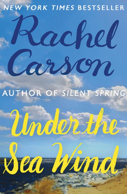 Cover of the book Under the Sea Wind by Rachel Carson, Open Road Media