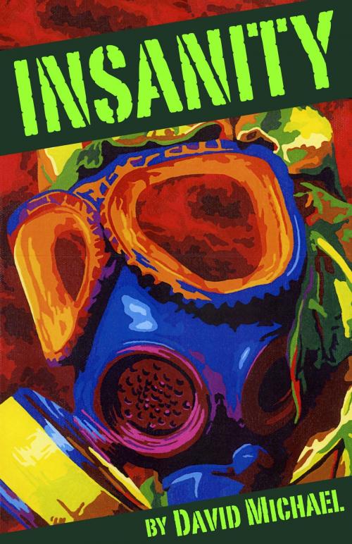 Cover of the book Insanity by David R. Michael, David R. Michael