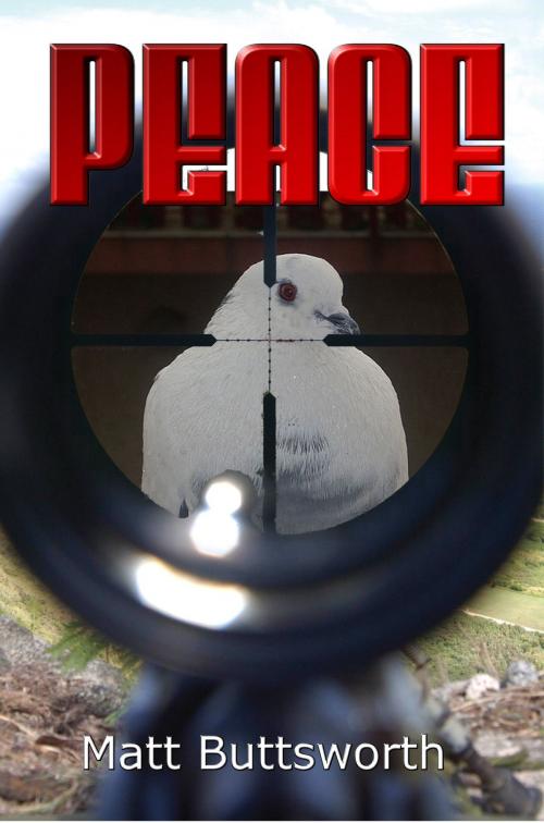 Cover of the book Peace by Matt Buttsworth, Matt Buttsworth