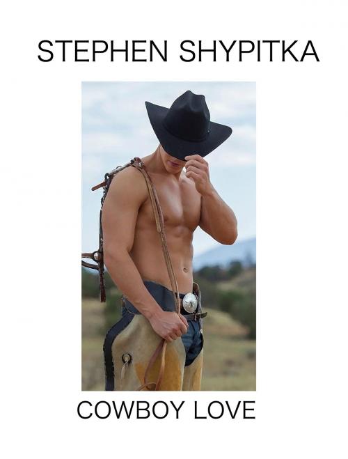 Cover of the book Cowboy Love by Stephen Shypitka, Stephen Shypitka