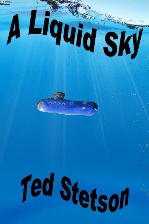 Cover of the book A Liquid Sky by Ted Stetson, Ted Stetson