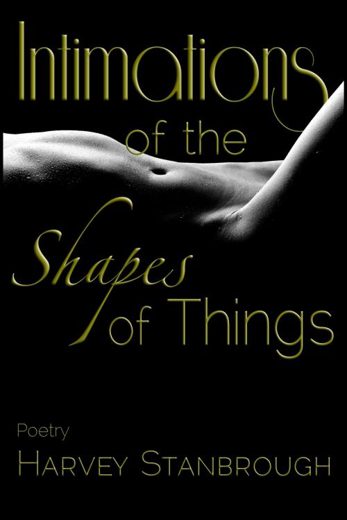 Cover of the book Intimations of the Shapes of Things by Harvey Stanbrough, StoneThread Publishing