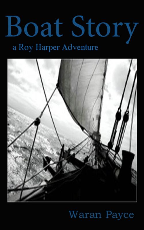 Cover of the book Boat Story by Waran Payce, Waran Payce