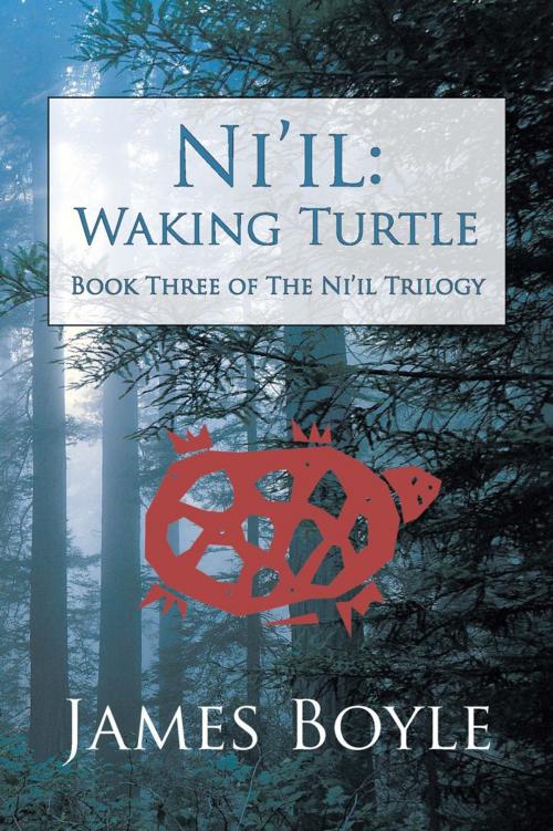 Cover of the book Ni'il: Waking Turtle by James Boyle, iUniverse