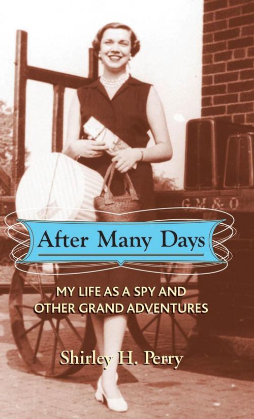 Cover of the book After Many Days by Perry, Shirley H., Midpoint Trade Books