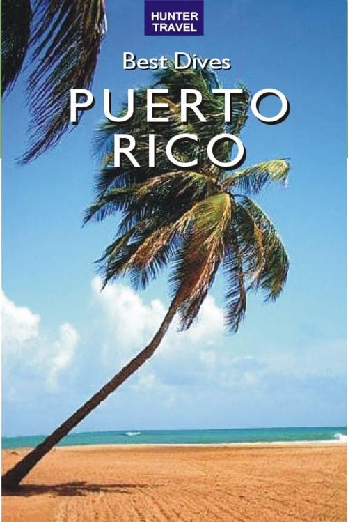 Cover of the book Best Dives of Puerto Rico by Joyce Huber, Hunter Publishing