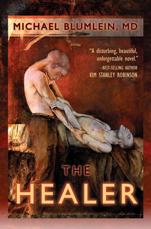 Cover of the book The Healer by Michael Blumlein, Pyr