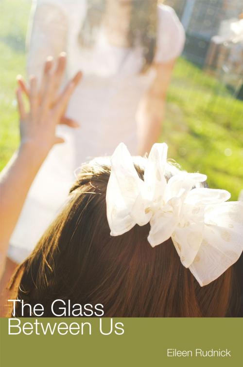 Cover of the book The Glass Between Us by Eileen Rudnick, Apprentice House