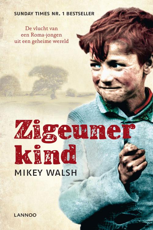 Cover of the book Zigeunerkind by Mikey Walsh, Terra - Lannoo, Uitgeverij