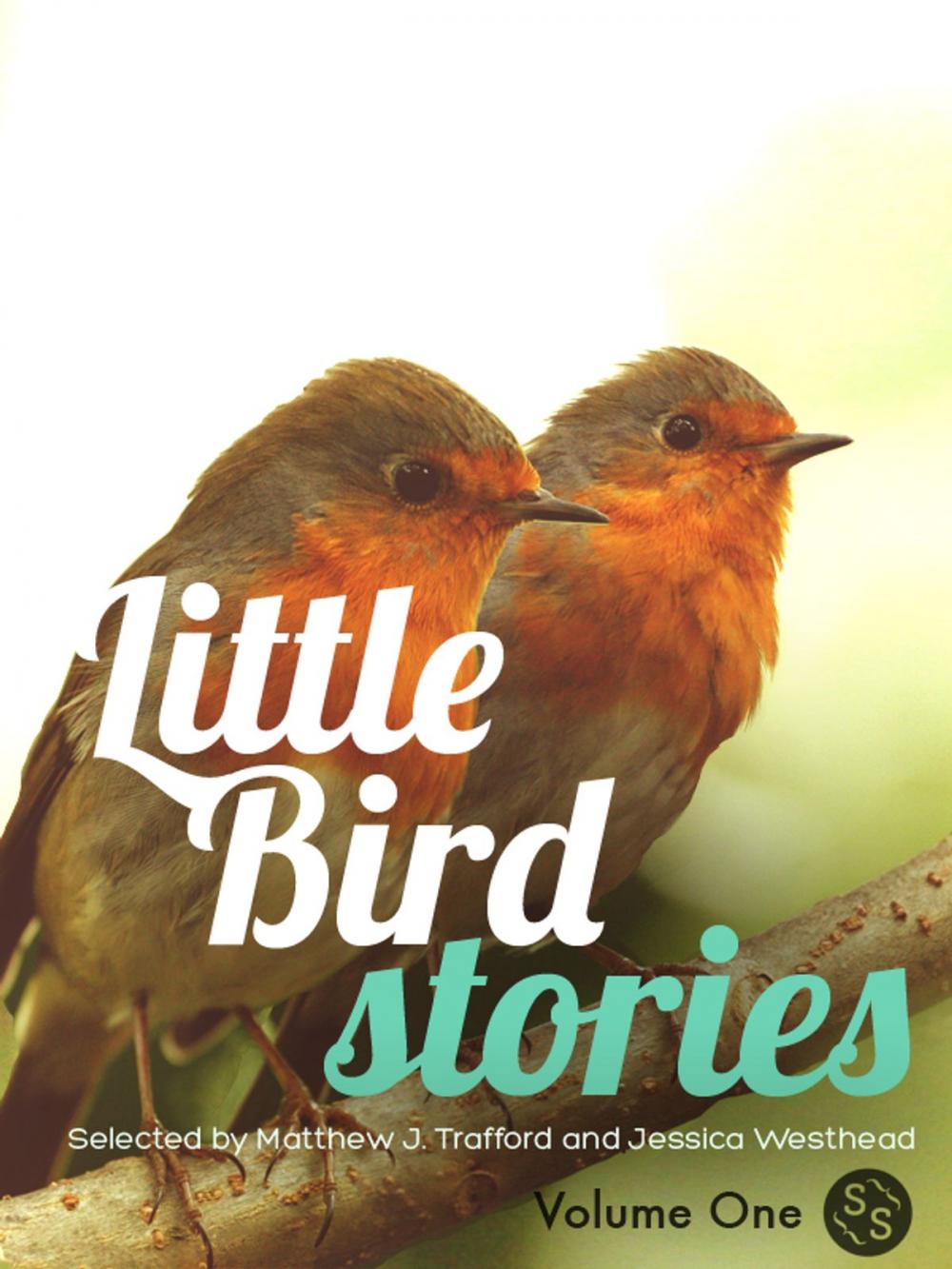 Big bigCover of Little Bird Stories