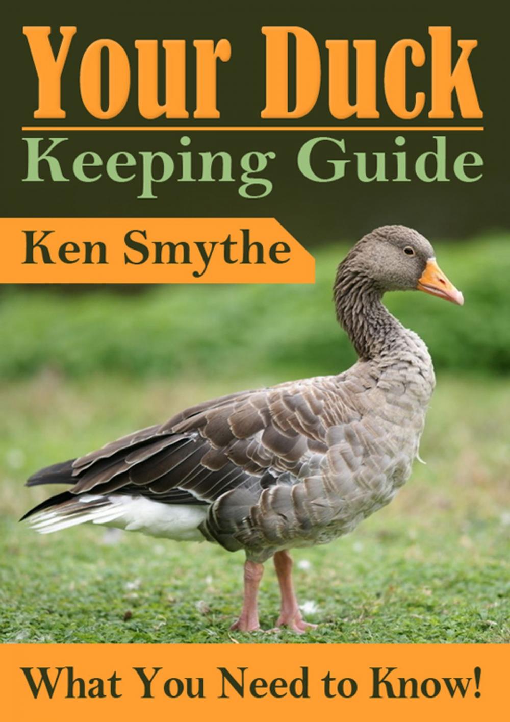 Big bigCover of Duck Keeping Guide