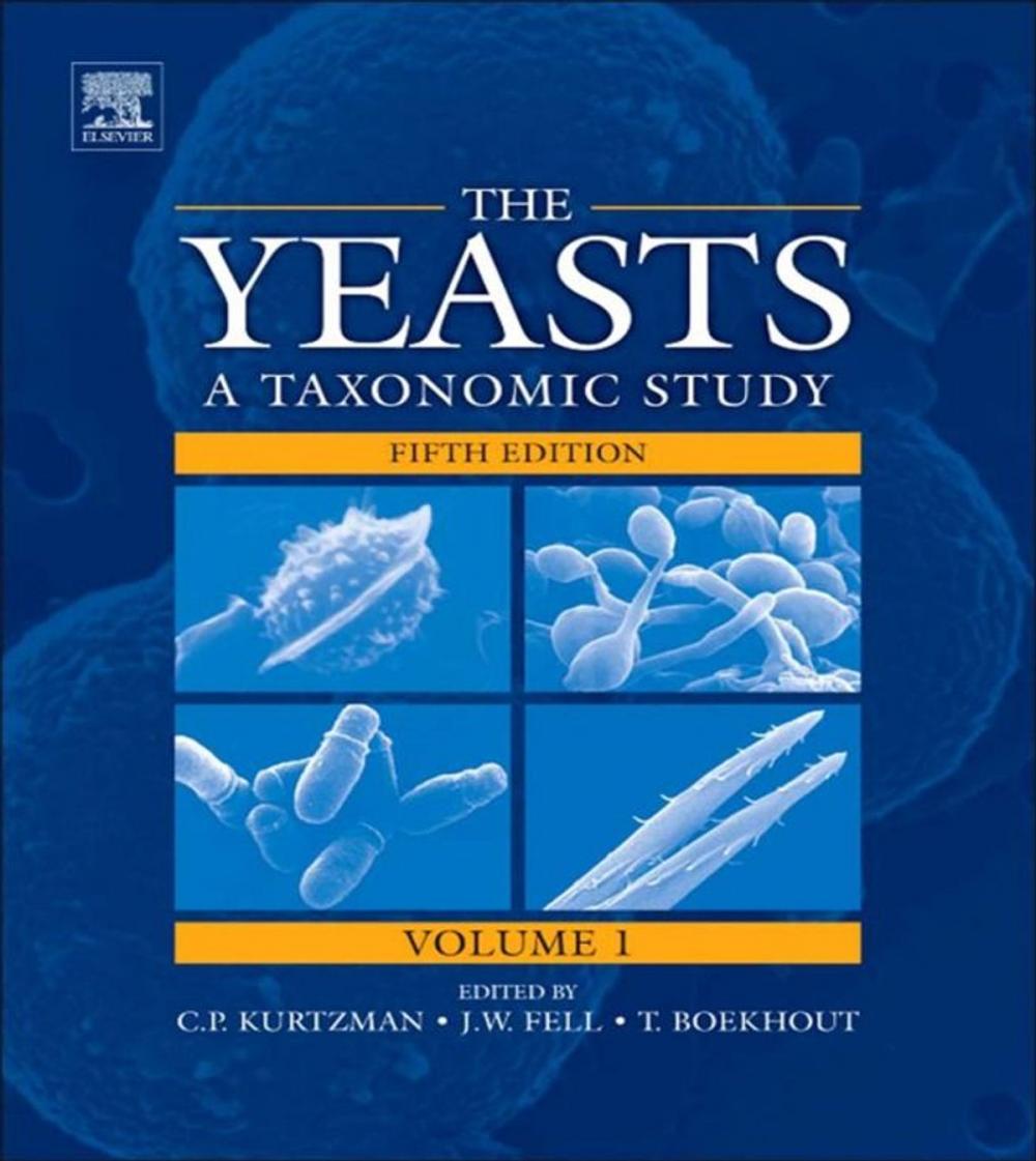 Big bigCover of The Yeasts