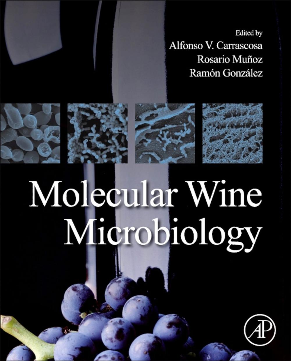 Big bigCover of Molecular Wine Microbiology