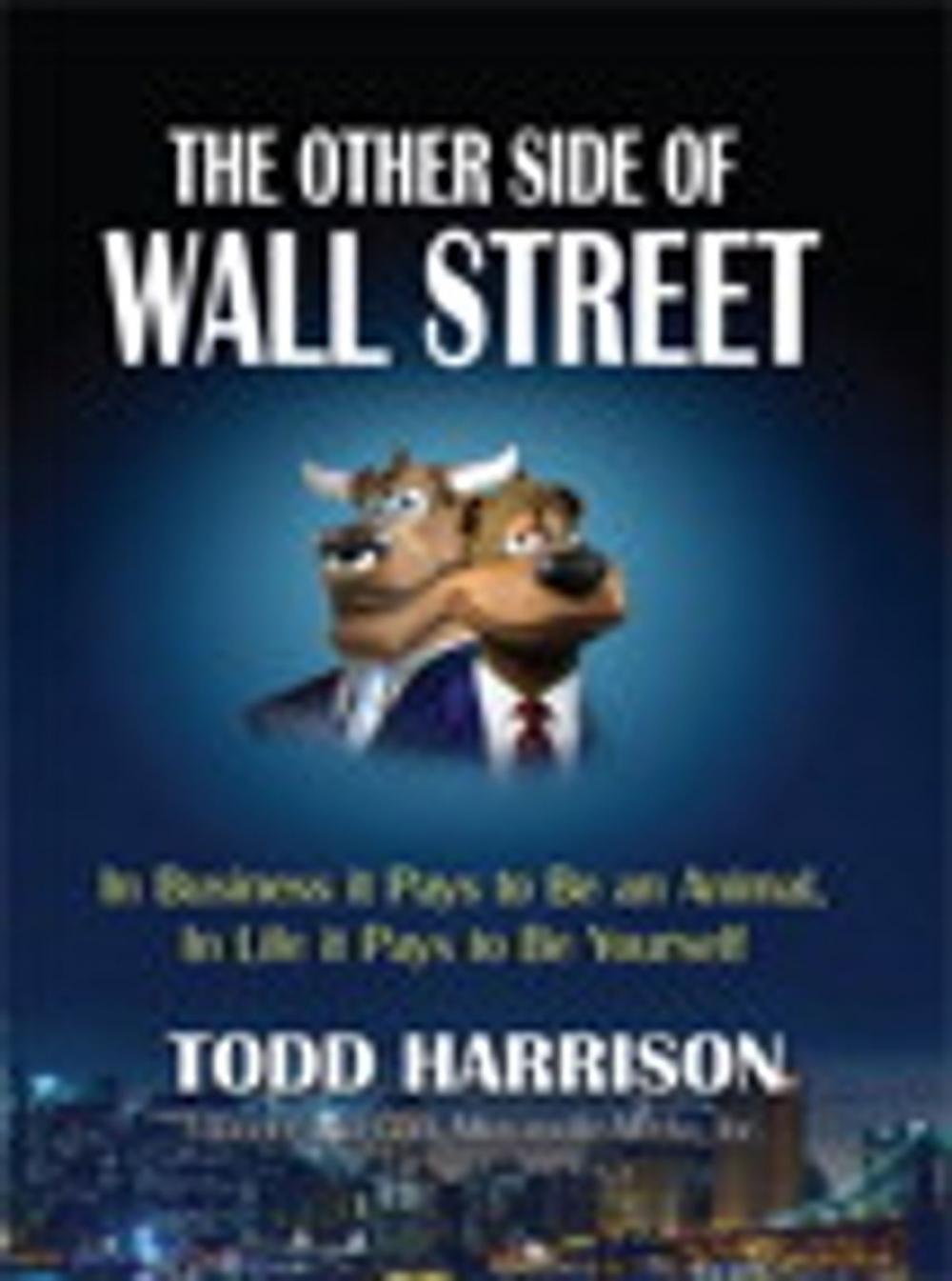 Big bigCover of The Other Side of Wall Street