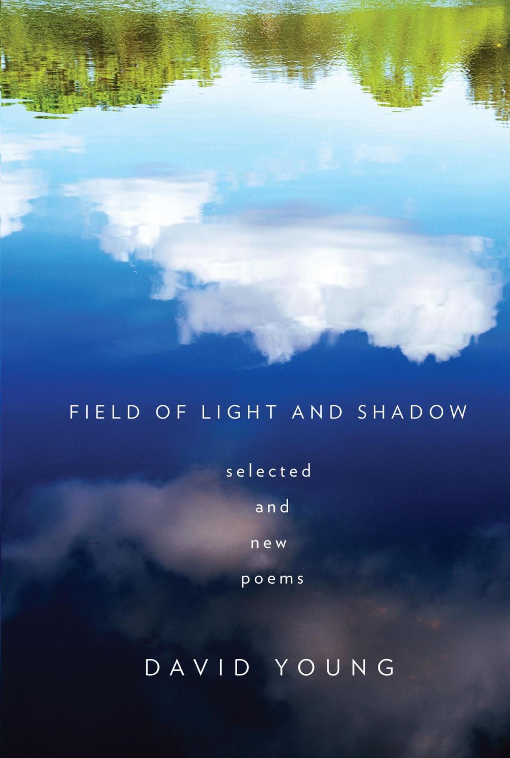 Big bigCover of Field of Light and Shadow