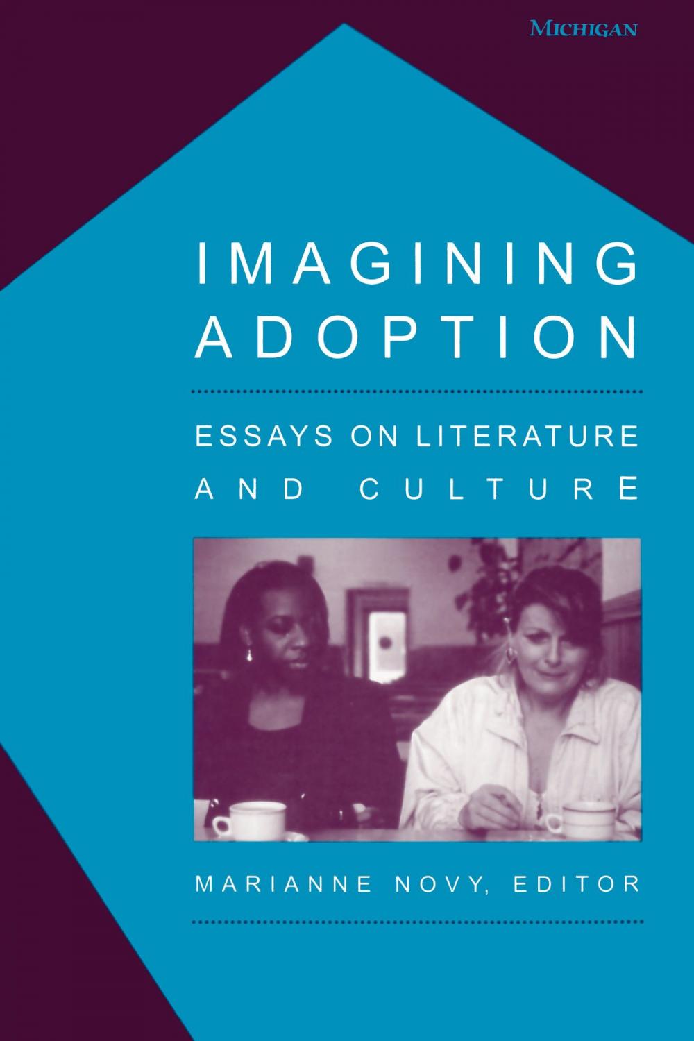 Big bigCover of Imagining Adoption