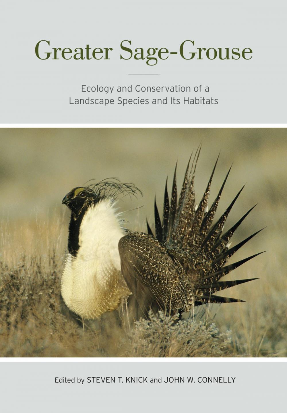 Big bigCover of Greater Sage-Grouse