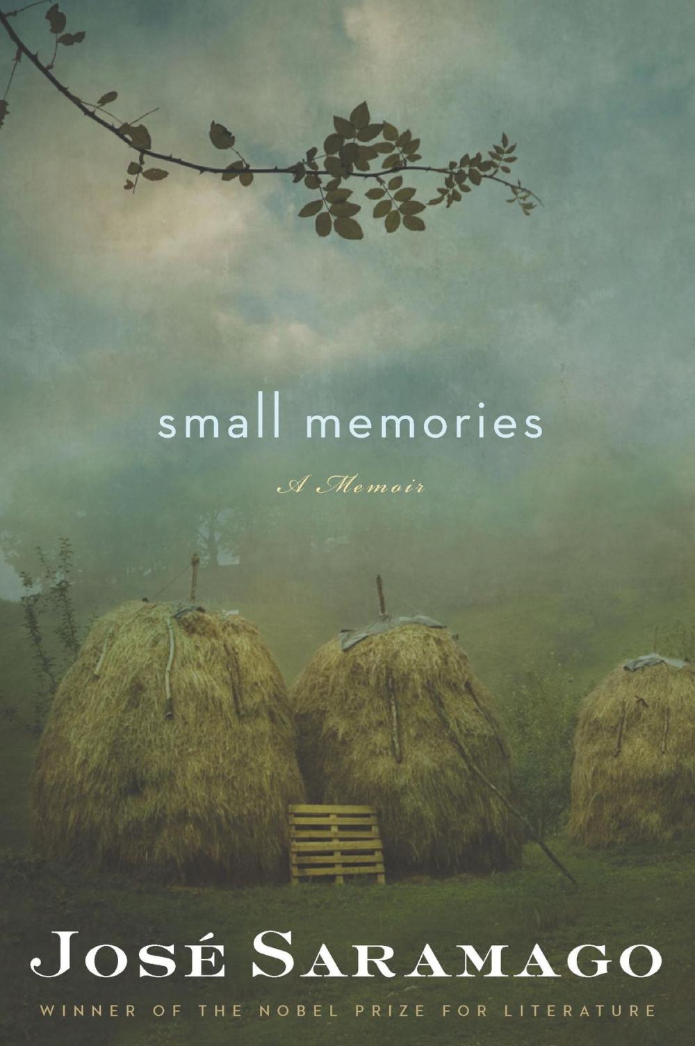 Big bigCover of Small Memories