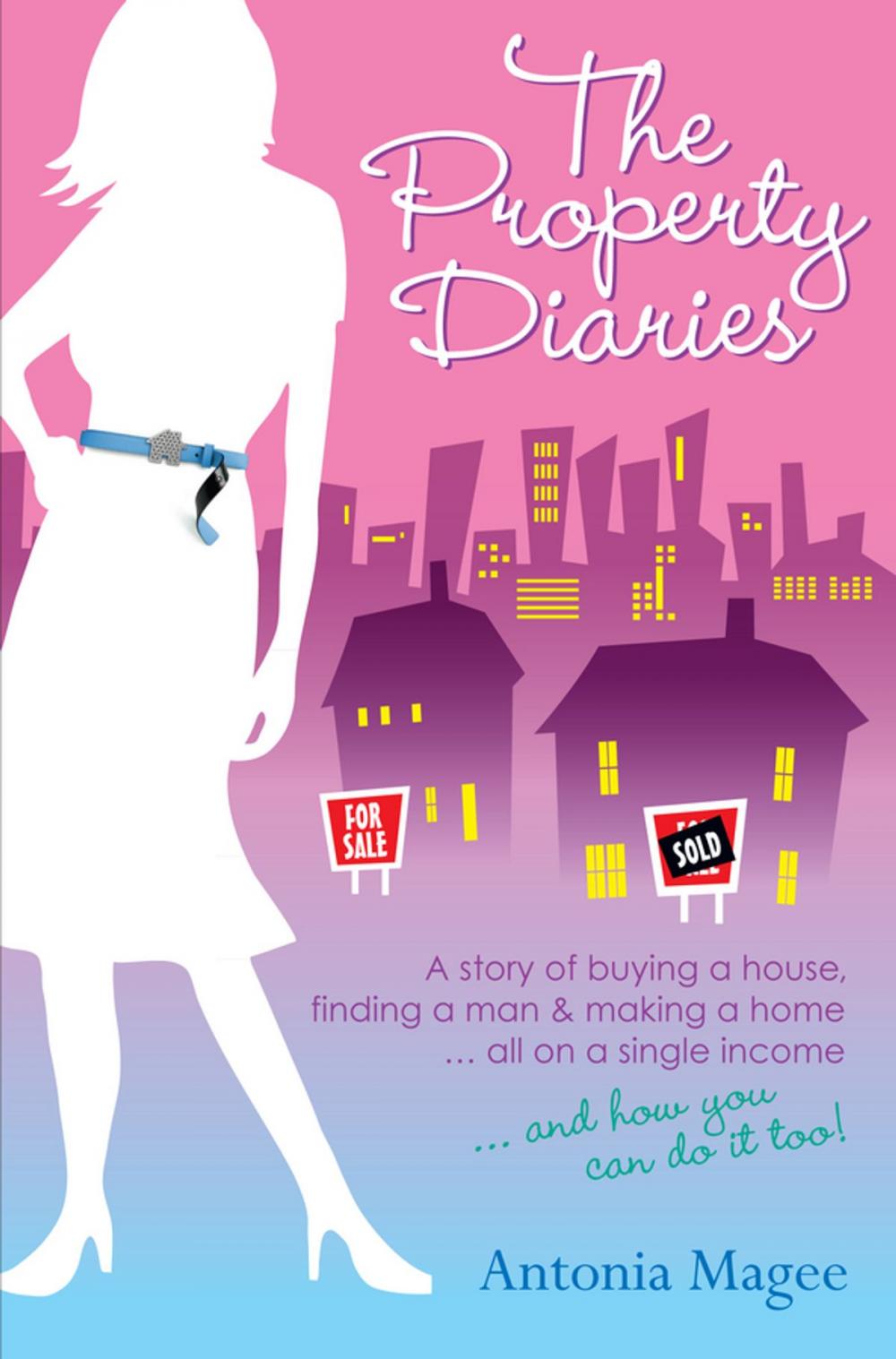 Big bigCover of The Property Diaries