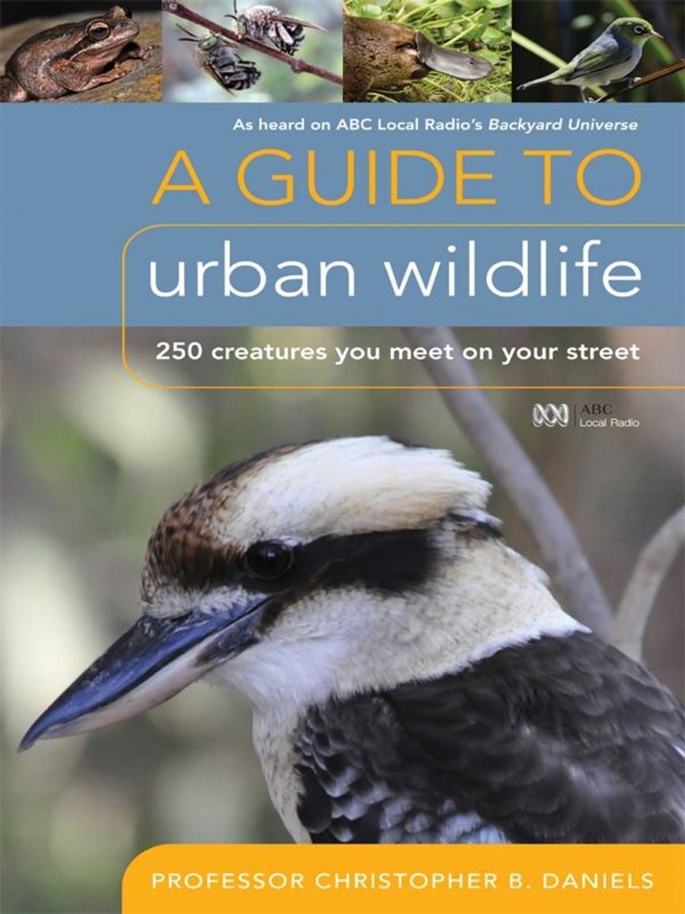 Big bigCover of A Guide To Urban Wildlife