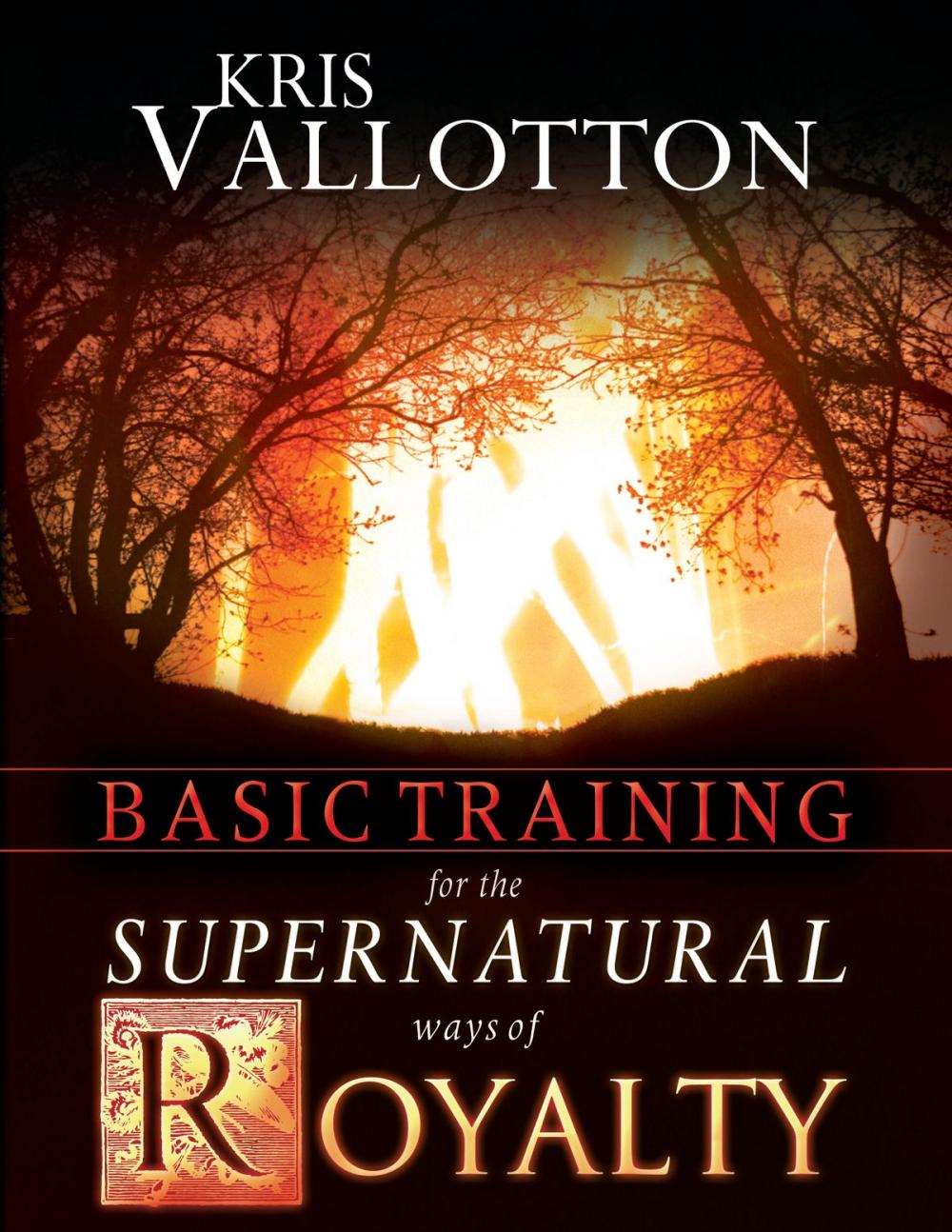 Big bigCover of Basic Training for the Supernatural Ways of Royalty