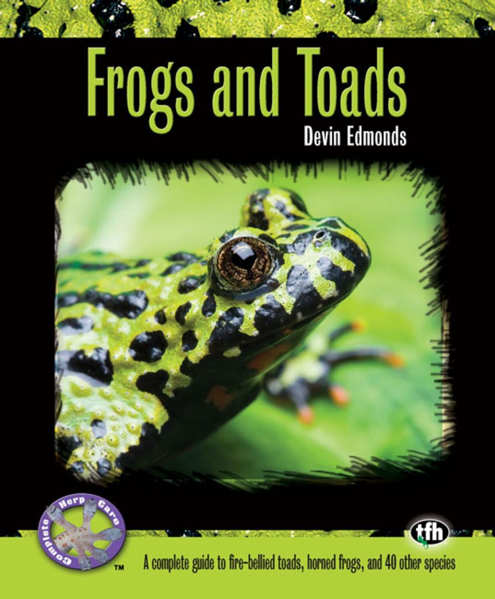 Big bigCover of Frogs and Toads