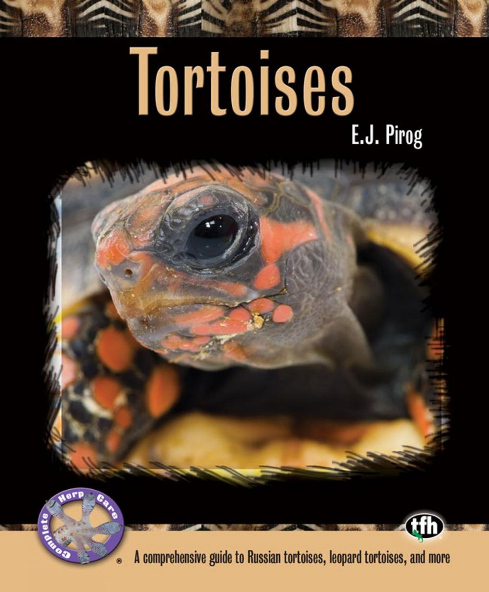 Big bigCover of Tortoises