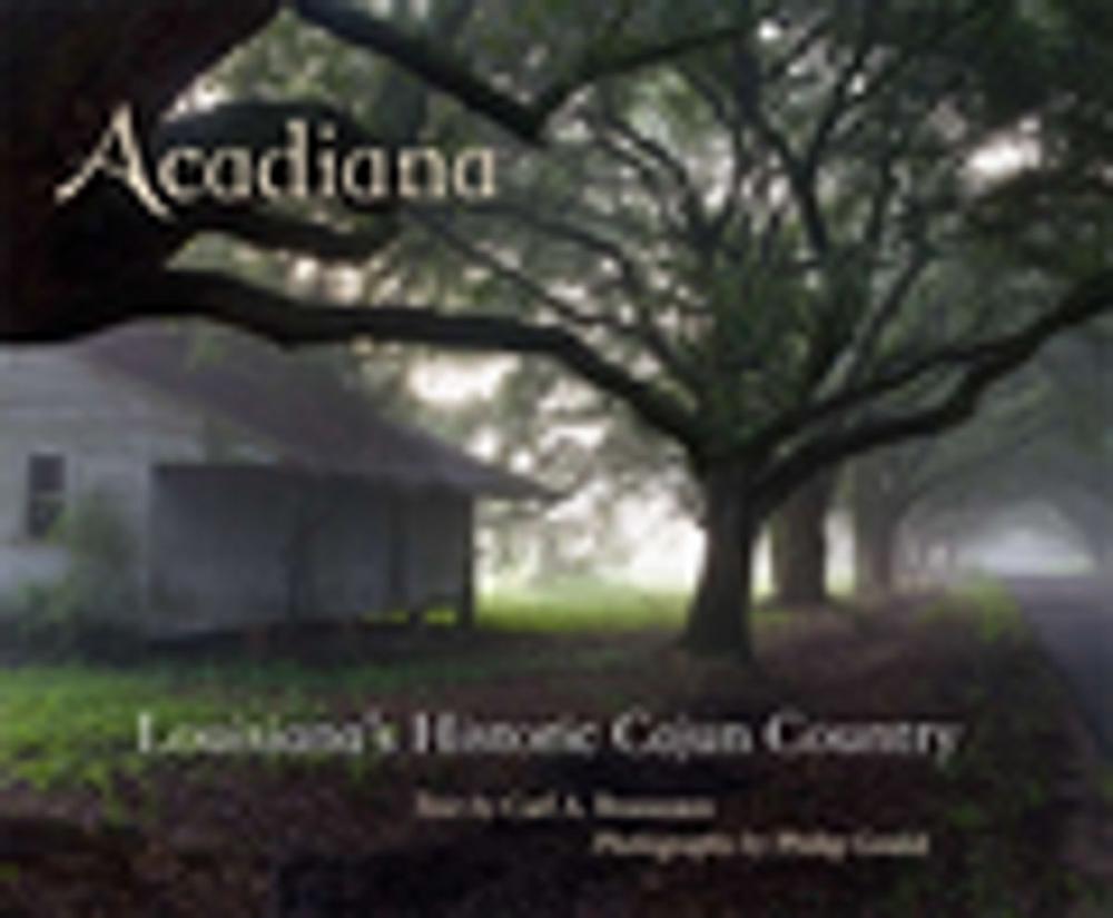 Big bigCover of Acadiana