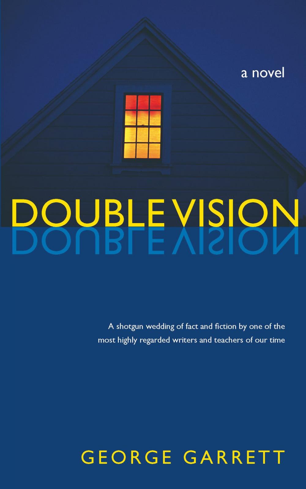 Big bigCover of Double Vision