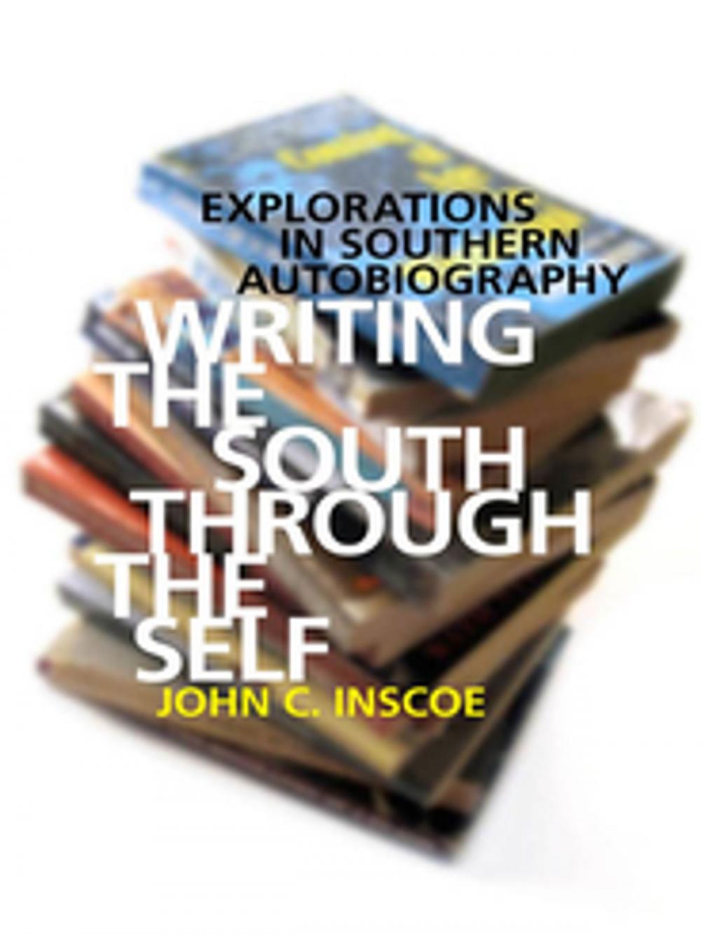 Big bigCover of Writing the South through the Self