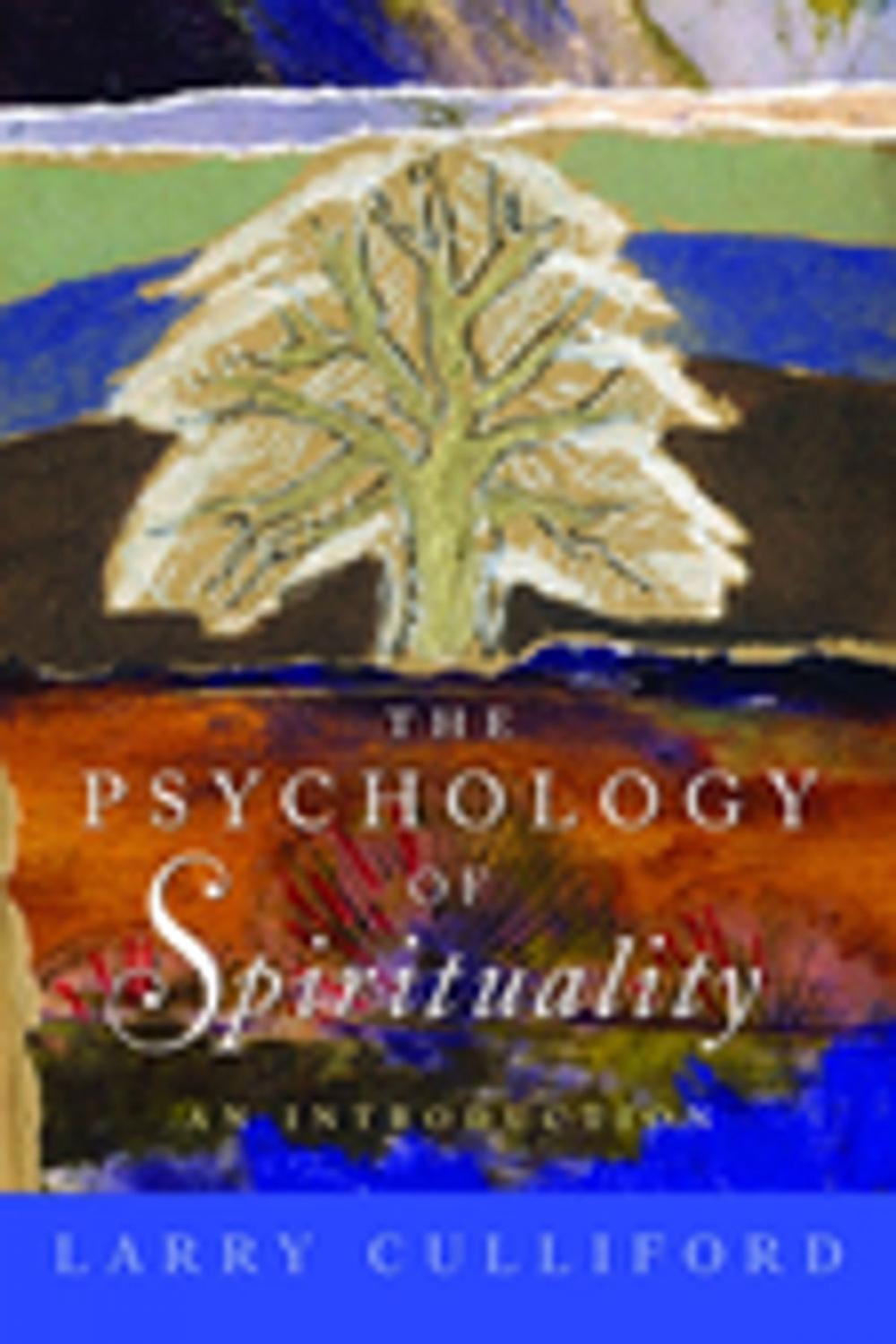 Big bigCover of The Psychology of Spirituality