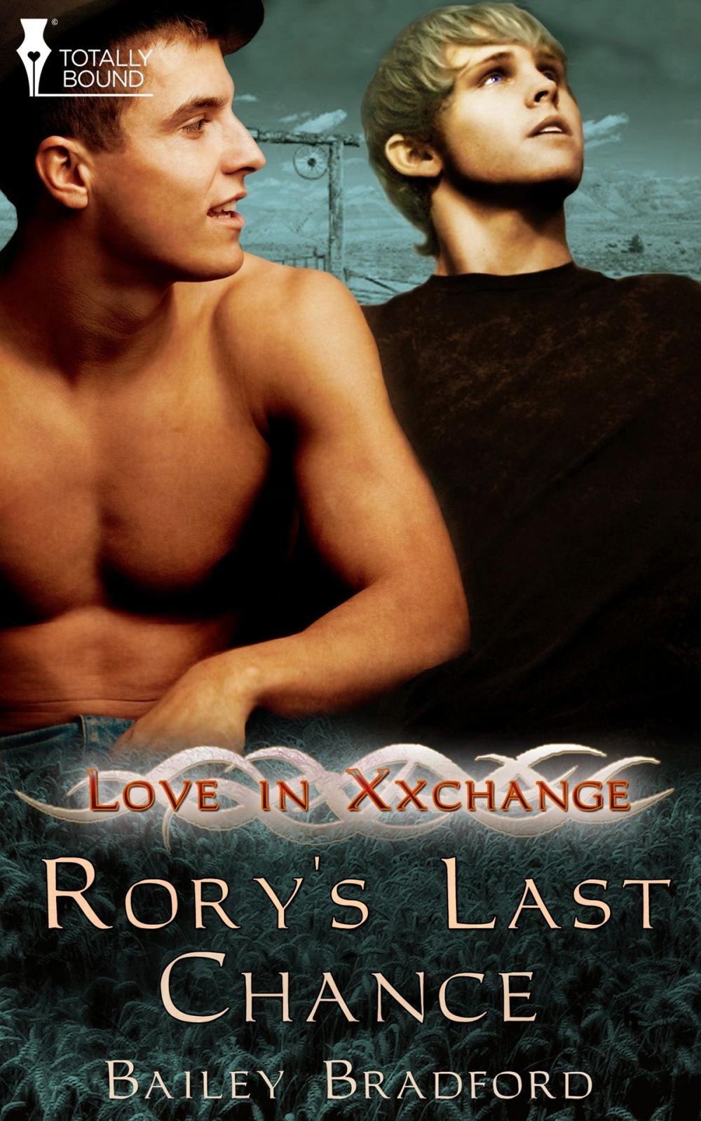 Big bigCover of Rory's Last Chance