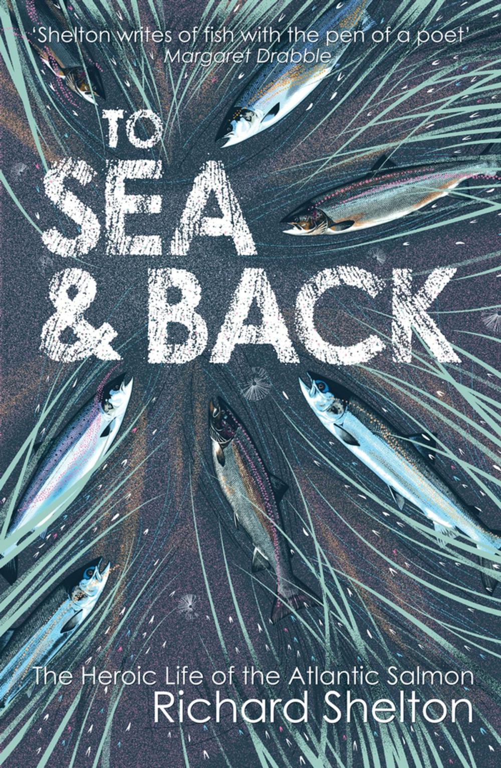 Big bigCover of To Sea & Back: The Heroic Life of the Atlantic Salmon