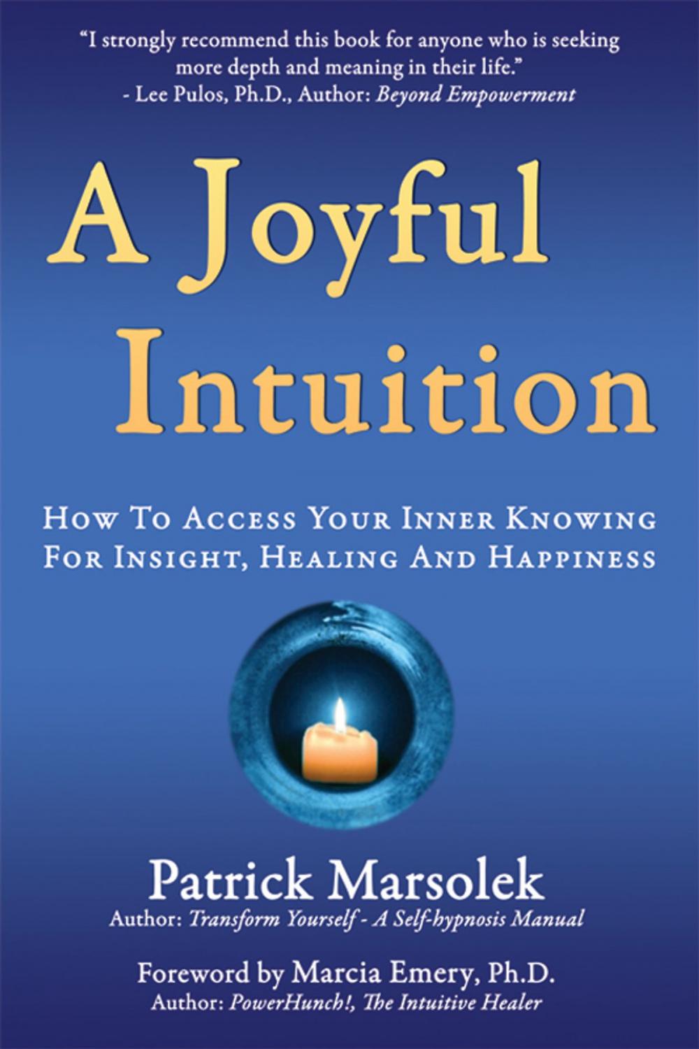 Big bigCover of A Joyful Intuition