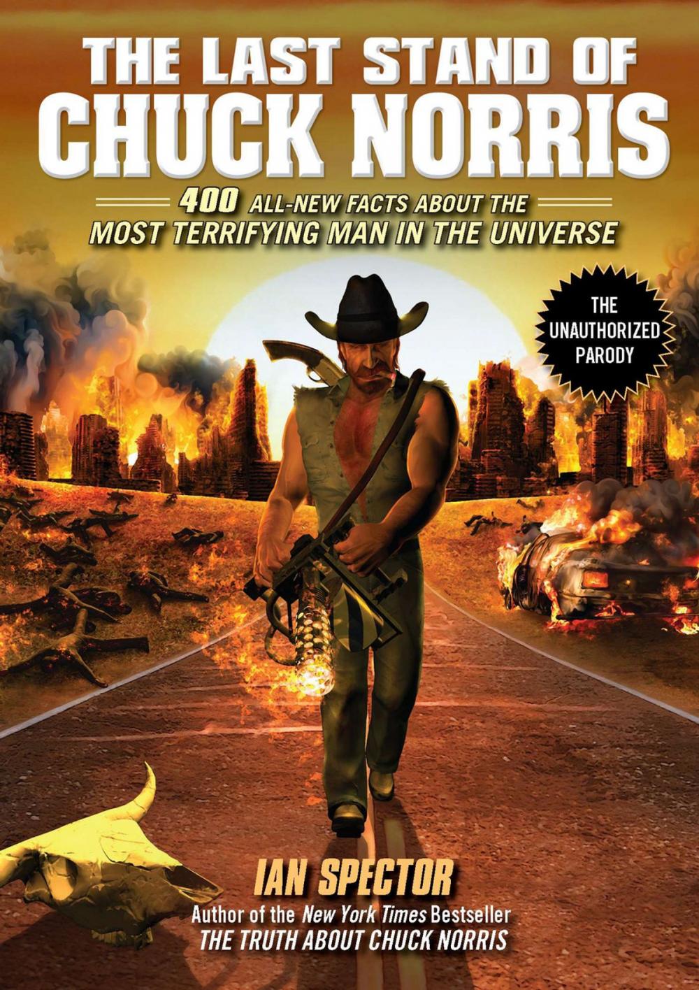 Big bigCover of The Last Stand of Chuck Norris