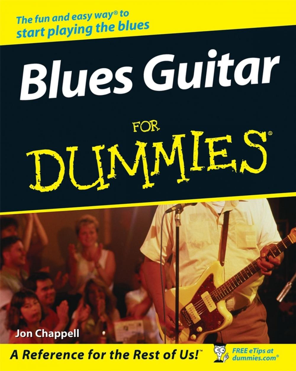 Big bigCover of Blues Guitar For Dummies