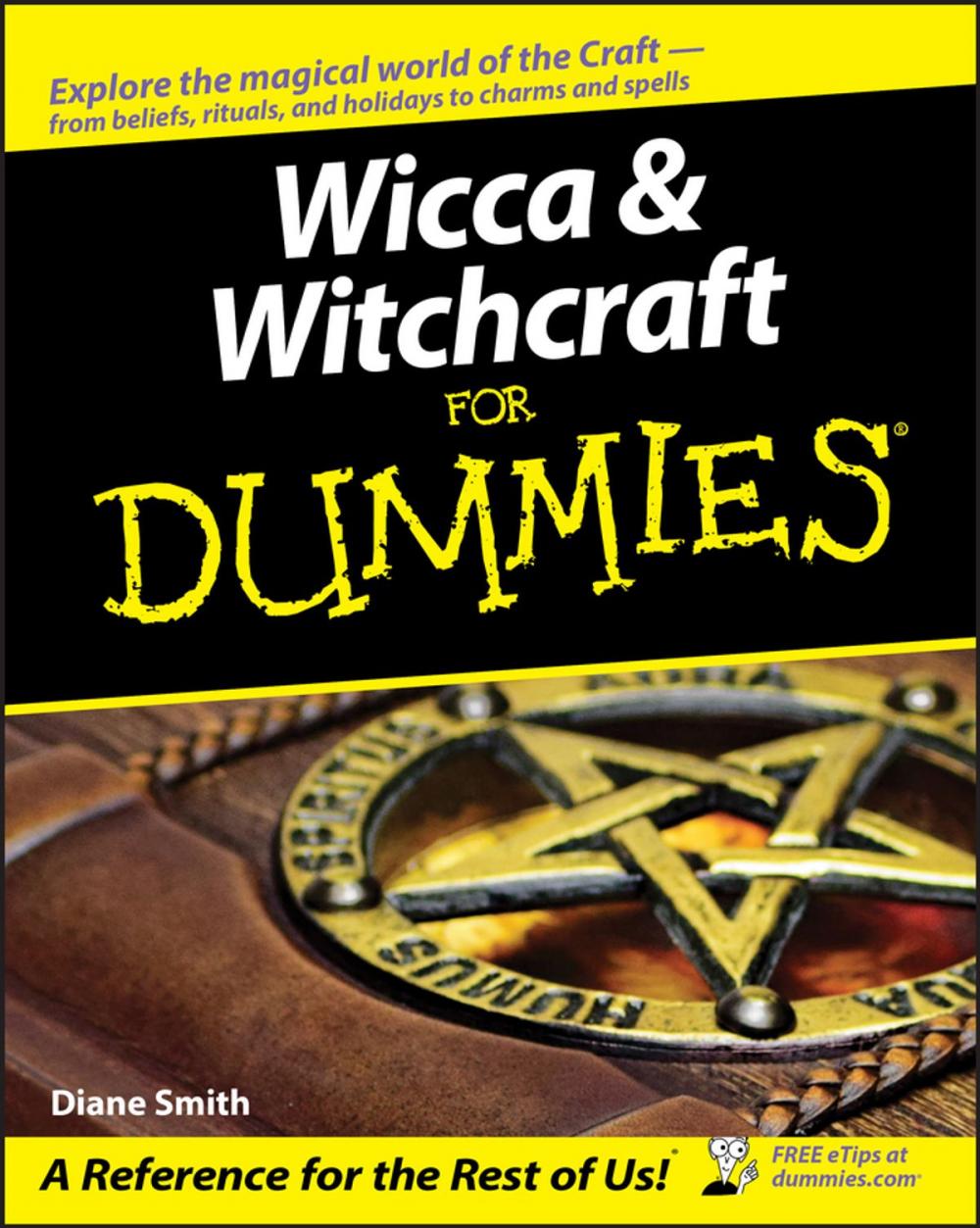 Big bigCover of Wicca and Witchcraft For Dummies