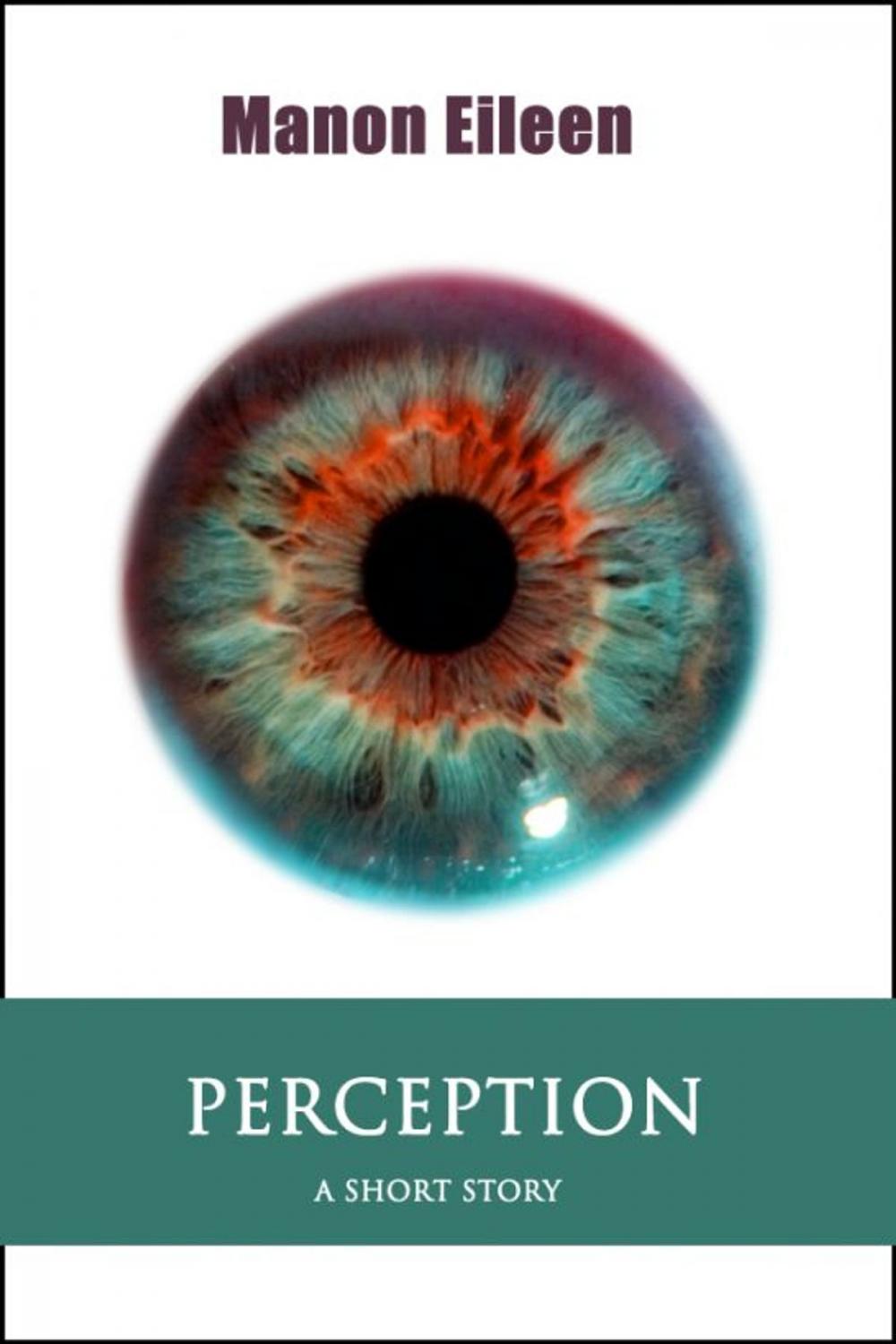 Big bigCover of Perception