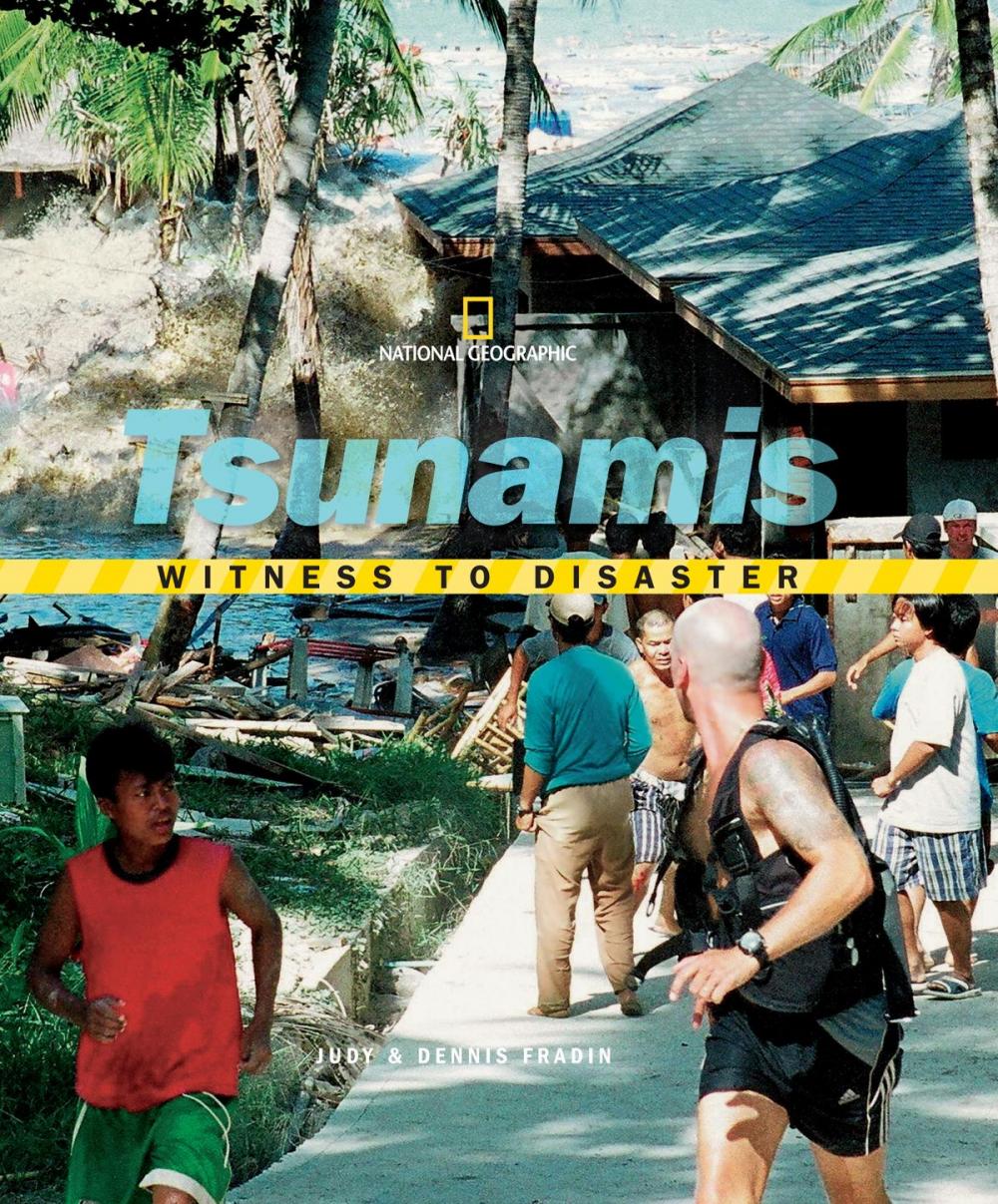 Big bigCover of Witness to Disaster: Tsunamis