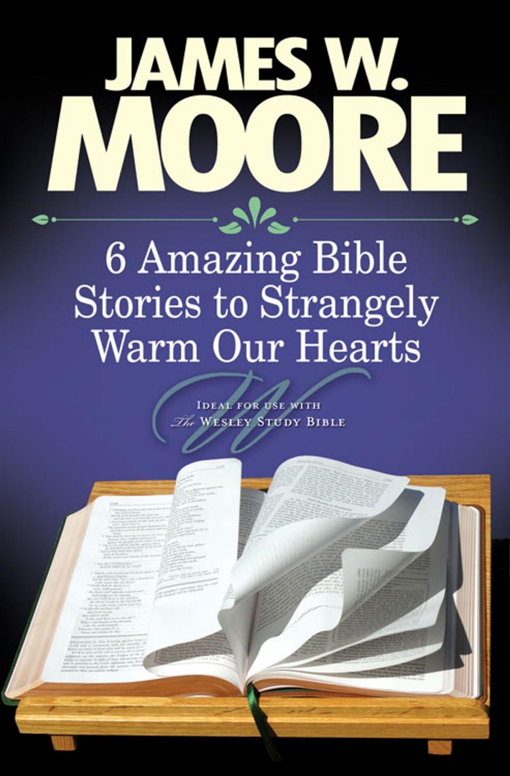 Big bigCover of 6 Amazing Bible Stories to Strangely Warm Our Hearts