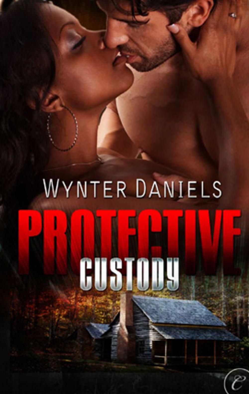 Big bigCover of Protective Custody