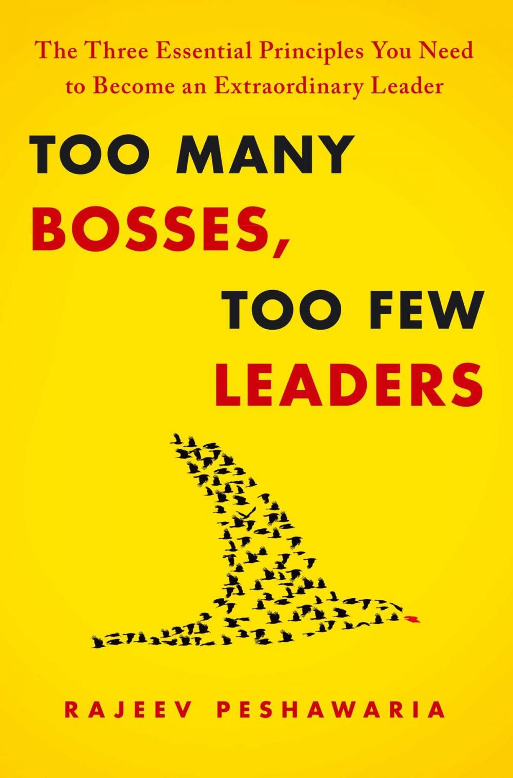 Big bigCover of Too Many Bosses, Too Few Leaders