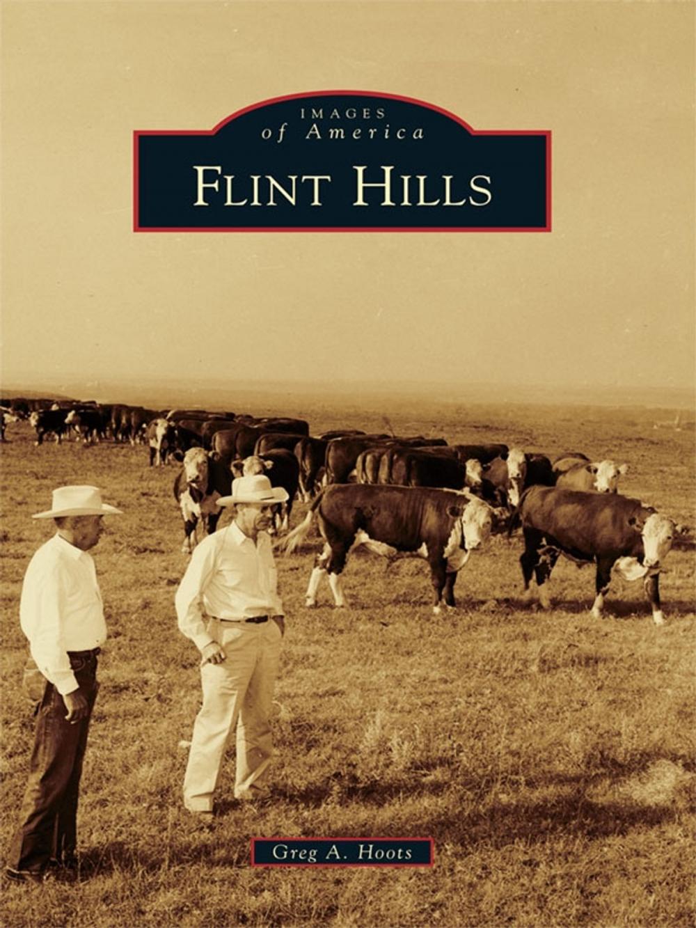 Big bigCover of Flint Hills