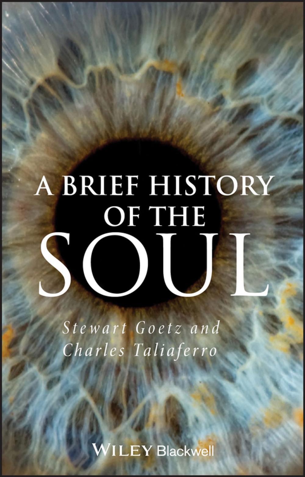 Big bigCover of A Brief History of the Soul