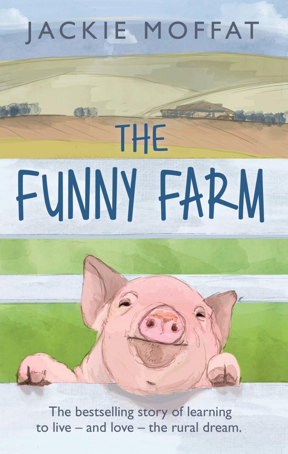 Big bigCover of The Funny Farm
