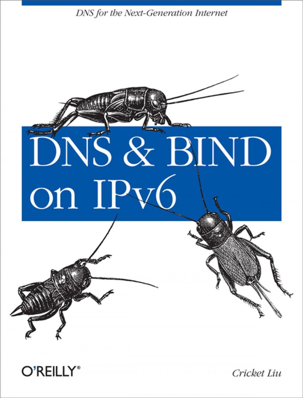 Big bigCover of DNS and BIND on IPv6