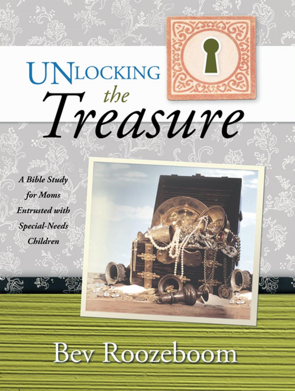 Big bigCover of Unlocking the Treasure